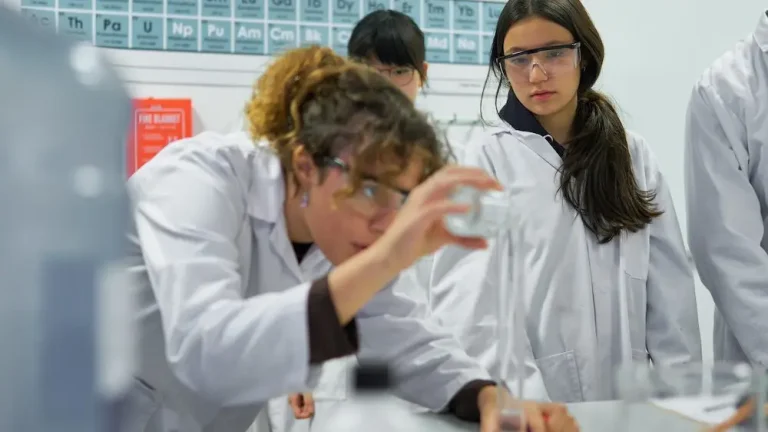 Cambridge, programas especializados de Business, Ciencias o Política
