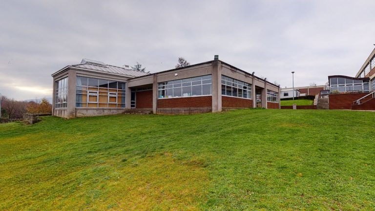 Alexandra College