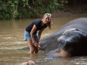 Voluntariado con elefantes en Sri Lanka
