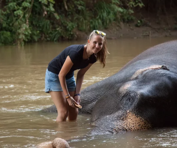 Voluntariado con elefantes en Sri Lanka