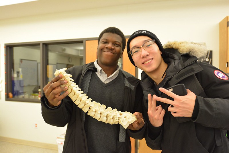 Alumnos en clase de ciencias durante un semestre en Estados Unidos, explorando prácticas académicas en laboratorio.